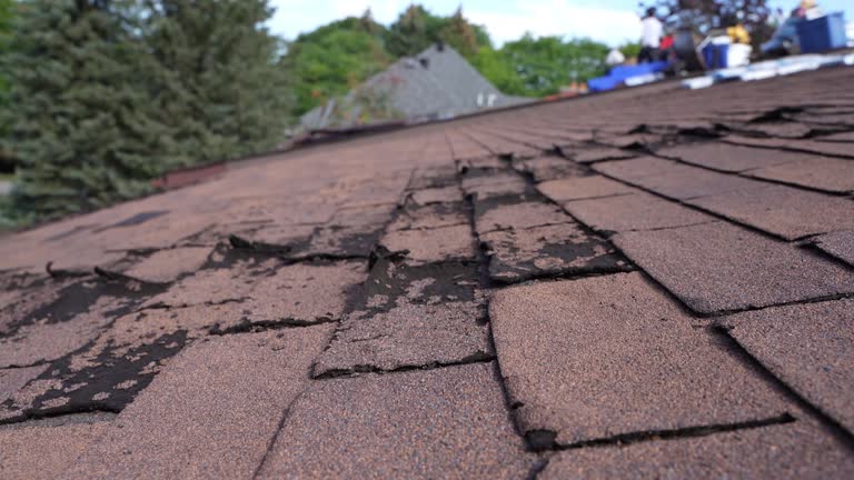 Gutter Replacement in Plant City, FL